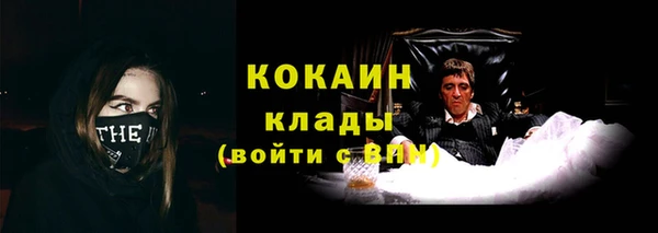 спиды Алзамай