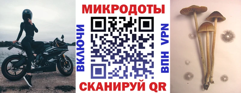 Псилоцибиновые грибы Cubensis  Усмань 